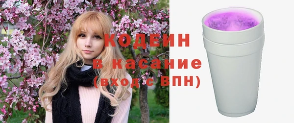 ешки Арсеньев
