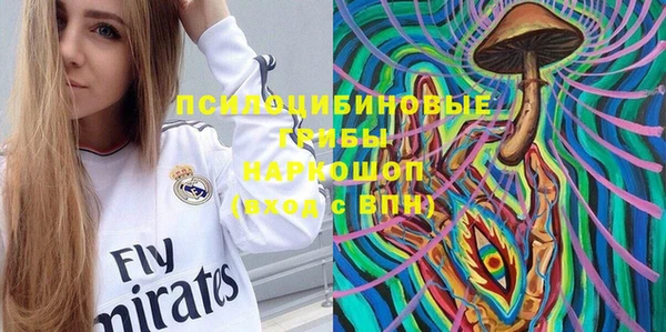 ешки Арсеньев