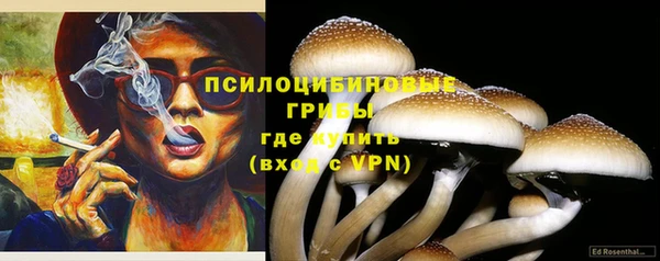 ешки Арсеньев