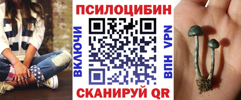 Галлюциногенные грибы GOLDEN TEACHER купить наркоту Партизанск